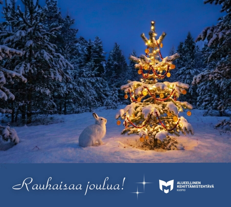 Jänis ihailee valaistua joulukuusta lumisessa metsässä.